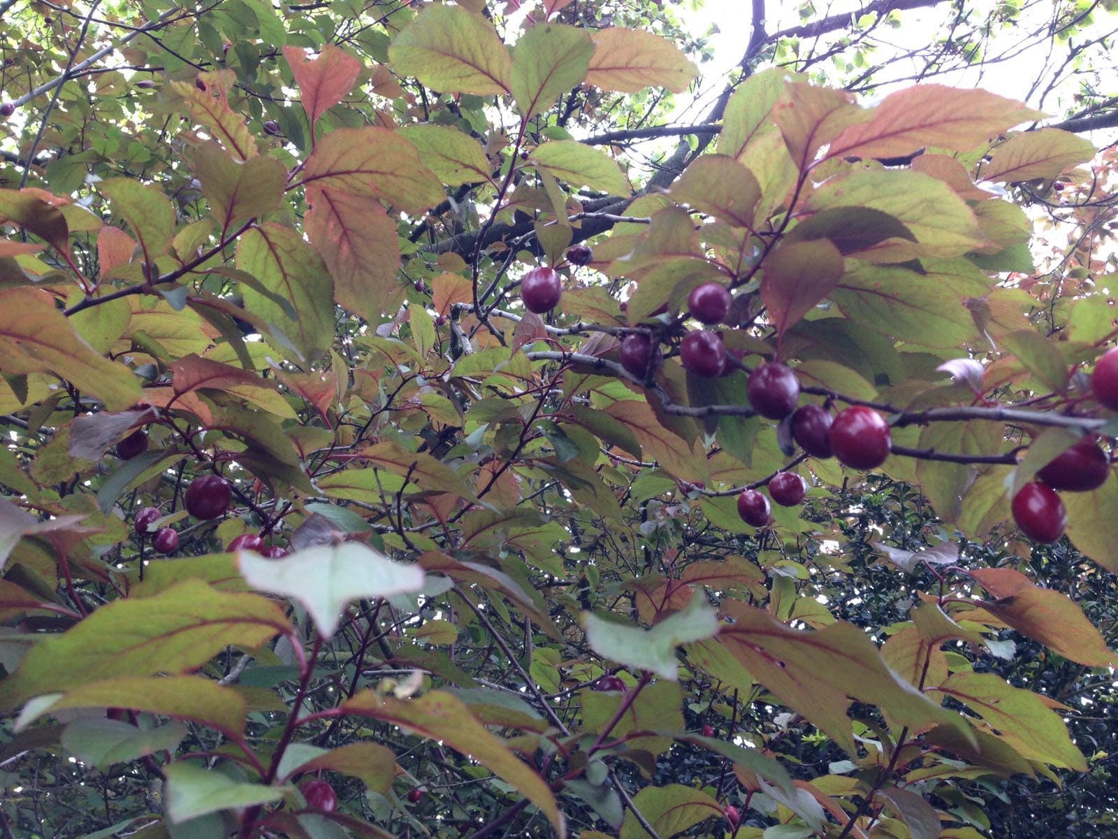 Bayswater Dental Clinic Images 2