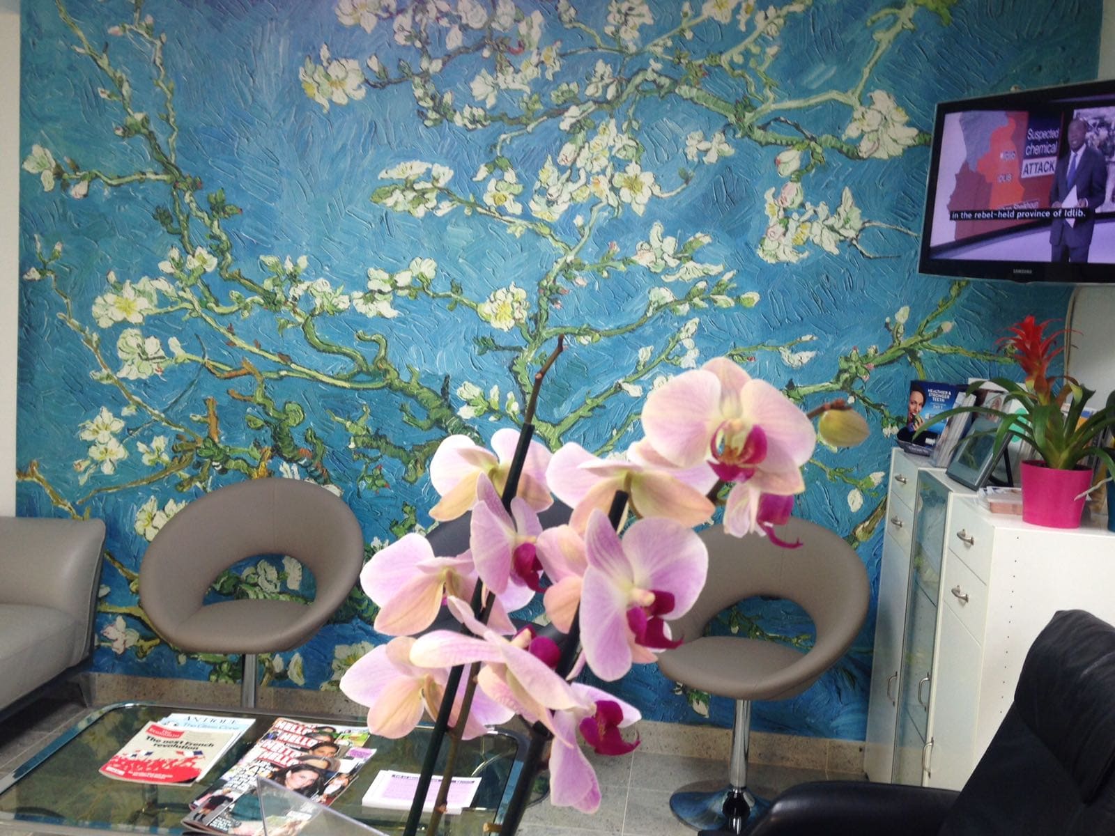 Bayswater Dental Clinic Images 5