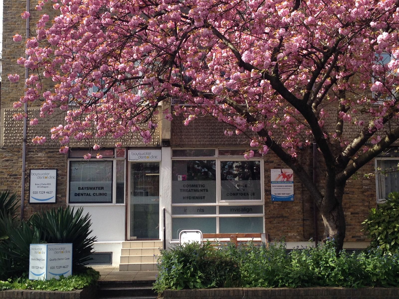 Bayswater Dental Clinic Images 7