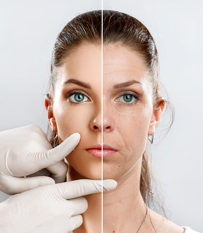 Treatment Process at Bayswater Dental Clinic